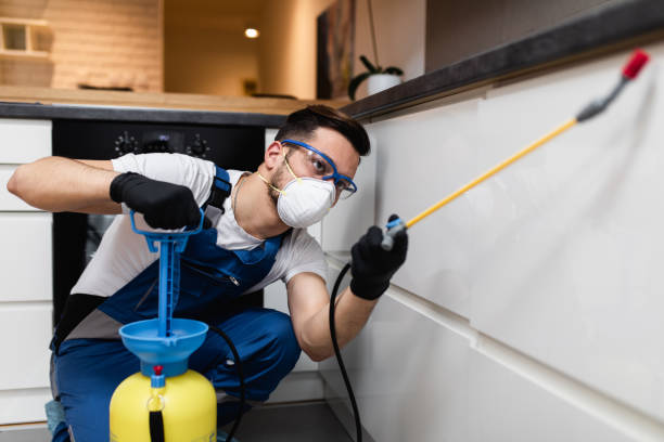 Professional Pest Control in Stanberry, MO